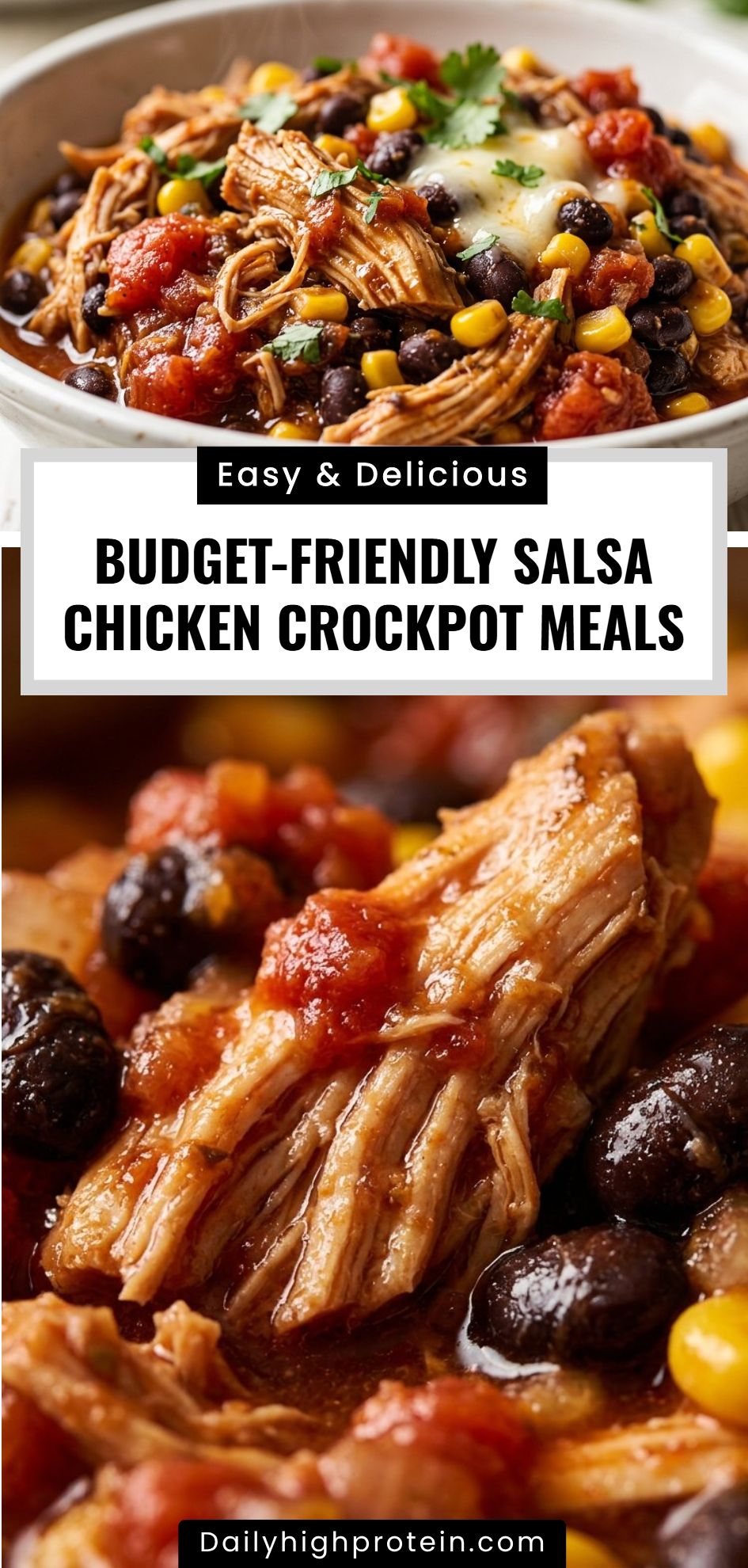 Budget Friendly Salsa Chicken Crockpot Meals
