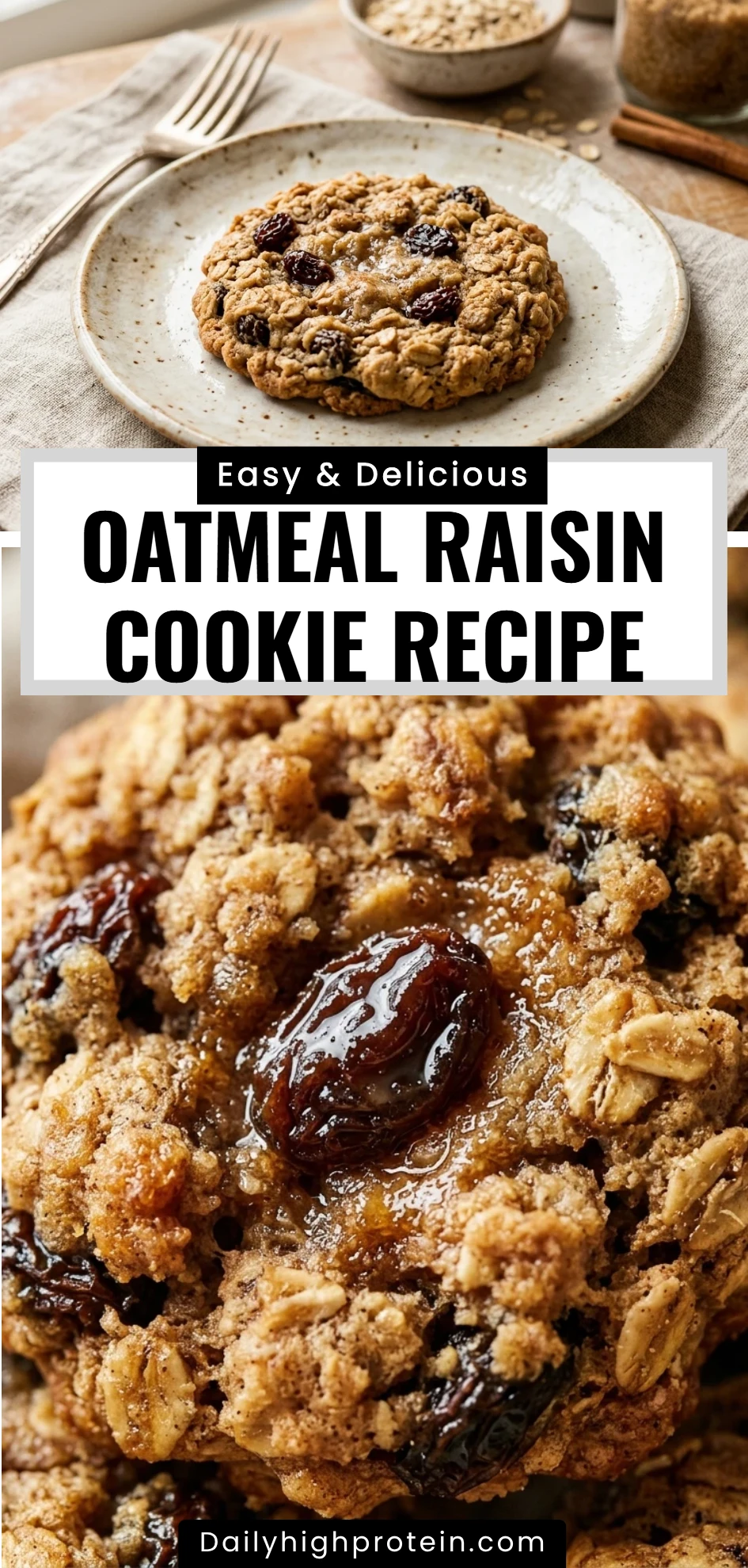 oatmeal raisin cookie recipe